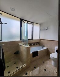 The Draycott (D10), Apartment #458305701